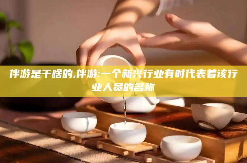 宁波伴游是干啥的,伴游:一个新兴行业有时代表着该行业人员的名称